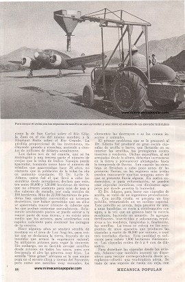 Bombardeando con Semillas - Diciembre 1947