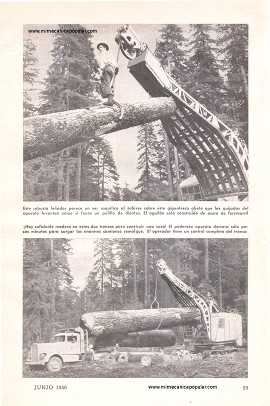 Gigantesco Cargador de Troncos - Junio 1950