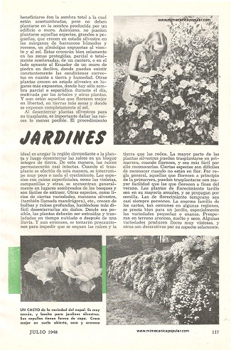 Flores Silvestres en Jardines - Julio 1948