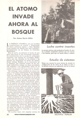 El Átomo Invade Ahora al Bosque - Noviembre 1961