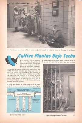 Cultive Plantas Bajo Techo - Diciembre 1958