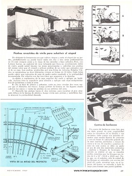 Trabajos Fáciles Para Su Patio y Jardín - Noviembre 1967