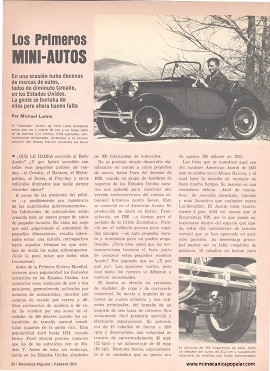 Los Primeros Mini-Autos - Febrero 1974