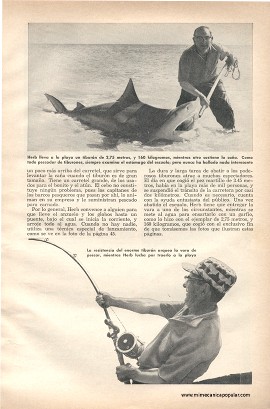 Pesca de Tiburones Con Globos - Febrero 1960