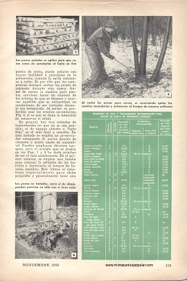 Es Fácil Preservar Postes de Cerca - Noviembre 1950
