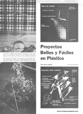 Proyectos Bellos y Fáciles en Plástico - Agosto 1975