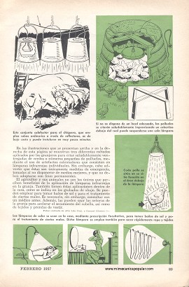 Múltiples aplicaciones de las luces infrarrojas en la granja - Febrero 1957