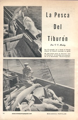 La Pesca Del Tiburón - Octubre 1948