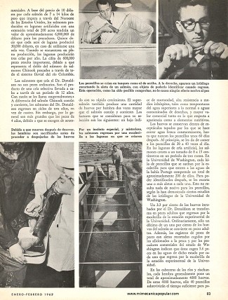 La Cría de Grandes Salmones - Febrero 1962
