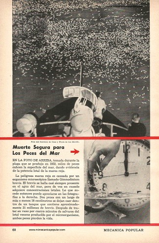 Laboratorio flotante investiga el misterio de la marea roja - Mayo 1958