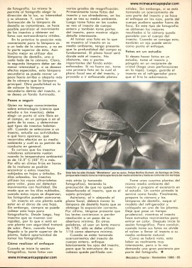 Fotografía: Cómo retratar insectos - Noviembre 1986