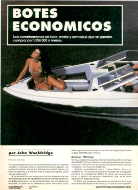 Botes económicos -Noviembre 1991