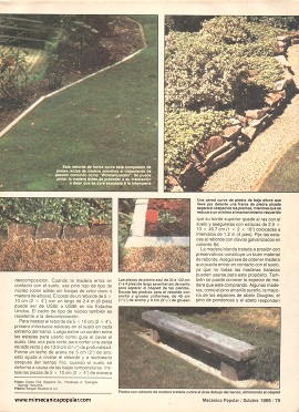 9 formas de redecorar su jardín - Octubre 1985