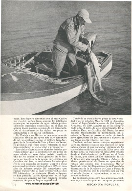 La Pesca Que Pocos Conocen -Octubre 1960