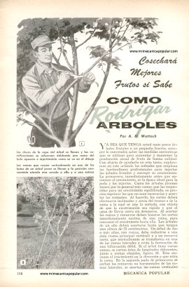Cómo Rodrigar Arboles - Noviembre 1958