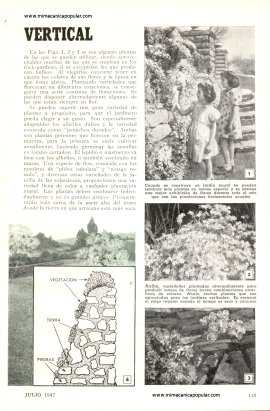 Haga de su cerca un jardín vertical - Julio 1947