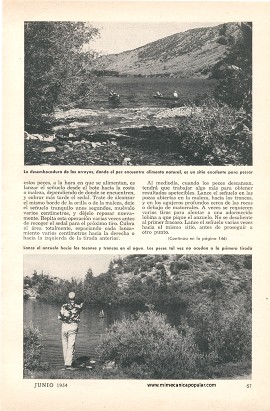 Sitios Donde Encontrar Peces en un Lago - Junio 1954