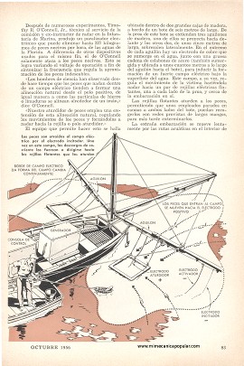 Eliminación de Peces Nocivos - Octubre 1956
