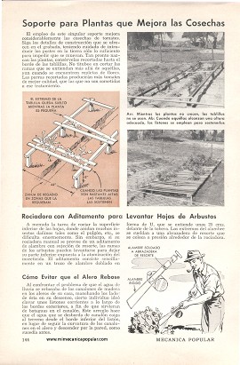 Soporte para Plantas que Mejora las Cosechas - Agosto 1954