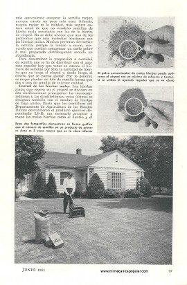 Embellezca su Césped - Junio 1951