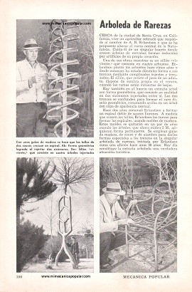 Arboleda de Rarezas - Febrero 1956