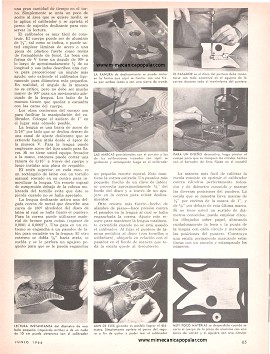 Calibrador de Lectura Automática - Junio 1966