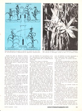 Para el agricultor: Conozca la Realidad del Maíz Híbrido - Septiembre 1968