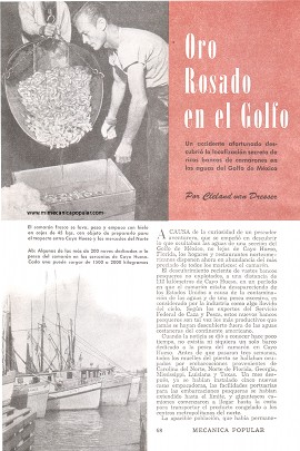 Oro Rosado en el Golfo de México - Septiembre 1950