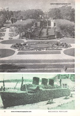Jardines Ornamentales - Octubre 1960
