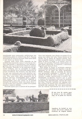 Jardines Ornamentales - Octubre 1960