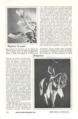 Fotos Fuera de lo Ordinario - Marzo 1951