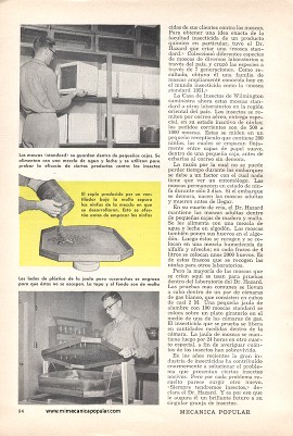 Insectos a la venta - Octubre 1954