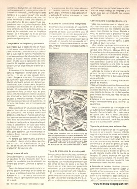 Cera, pulimento y pintura - Diciembre 1984