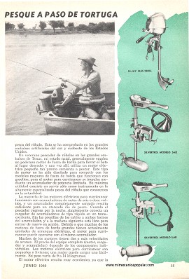 Para el pescador: Al róbalo hay que sorprenderlo - Junio 1960