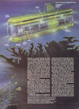 Submarino de pasajeros - Enero 1989