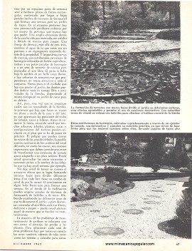 Jardines que requieren poco cuidado - Diciembre 1962