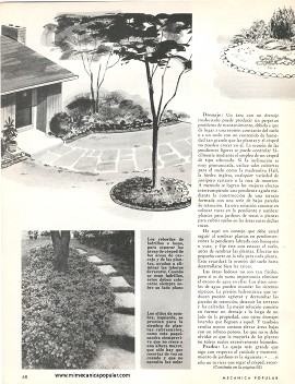 Jardines que requieren poco cuidado - Diciembre 1962