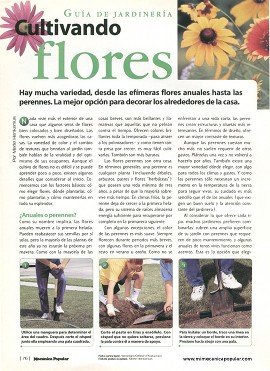 Cultivando flores - Julio 1998