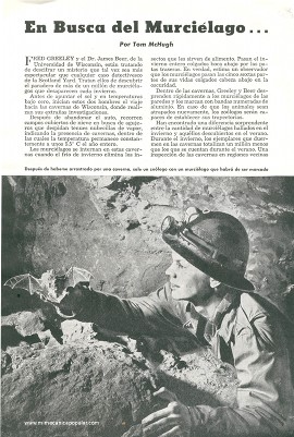 En Busca del Murciélago - Marzo 1950