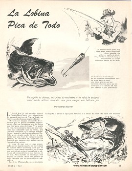 Para el Pescador: La Lobina Pica de Todo - Enero 1965