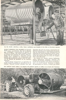 Para el Agricultor: La lucha contra las heladas - Febrero 1959