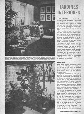 Jardines Interiores - Julio 1975