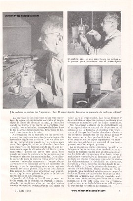 La Botánica en la Búsqueda de Minerales - Julio 1948