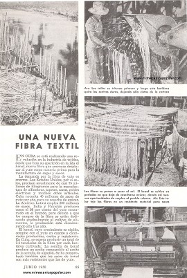 El Kenaf - una nueva fibra textil - Junio 1950