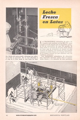 Leche Fresca en Latas - Agosto 1949