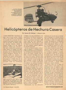 Helicópteros de Hechura Casera - Junio 1974