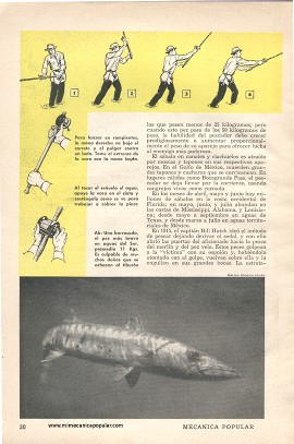 Para el pescador: Cómo Tentar a un Pez - Parte III - Agosto 1949