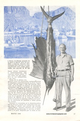 Torneos de Pesca en Alta Mar - Mayo 1948