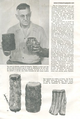 Coleccionando Madera - Mayo 1949