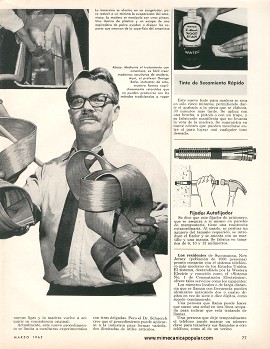 Técnica Que Produce Madera de Increíble Flexibilidad - Marzo 1965